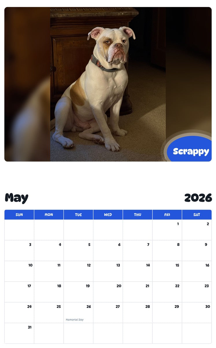 2026 - 2027 Scrappy - Pawidols Pet Calendar