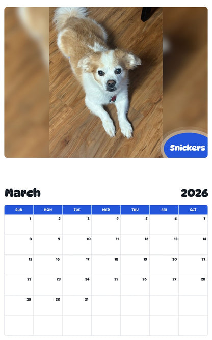 November 2025 - October 2026 Snickers - Pawidols Pet Calendar