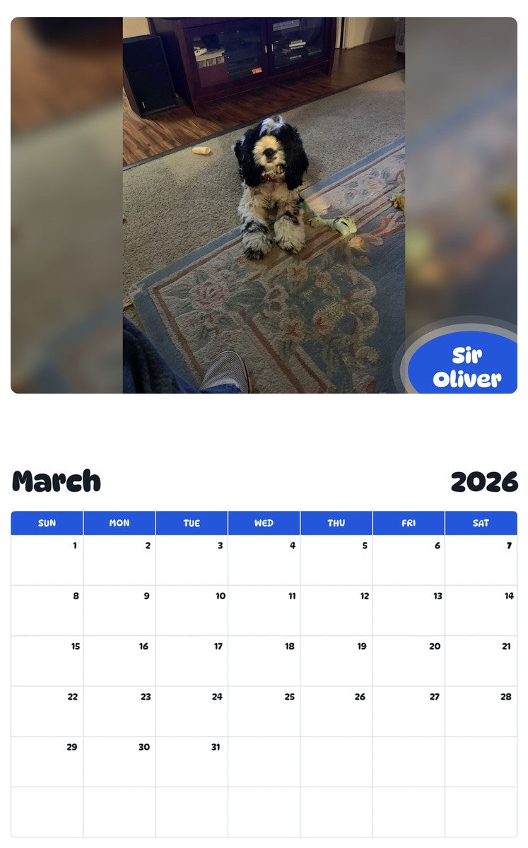 November 2025 - October 2026 Sir Oliver - Pawidols Pet Calendar