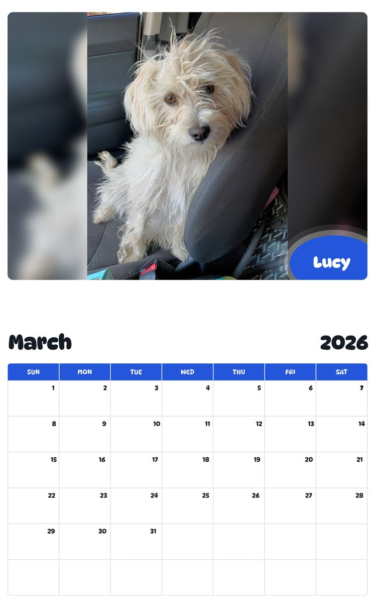 November 2025 - October 2026 Lucy - Pawidols Pet Calendar