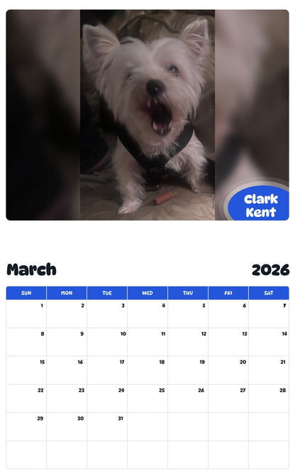 November 2025 - October 2026 Clark Kent - Pawidols Pet Calendar