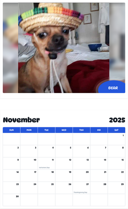 July 2025 - June 2026 Bear - Pawidols Pet Calendar