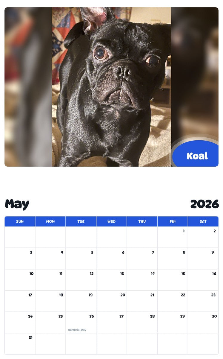 2026 - 2027 Koal - Pawidols Pet Calendar