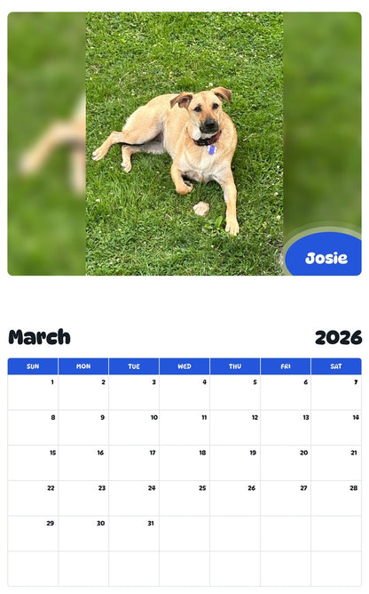 November 2025 - October 2026 Josie - Pawidols Pet Calendar