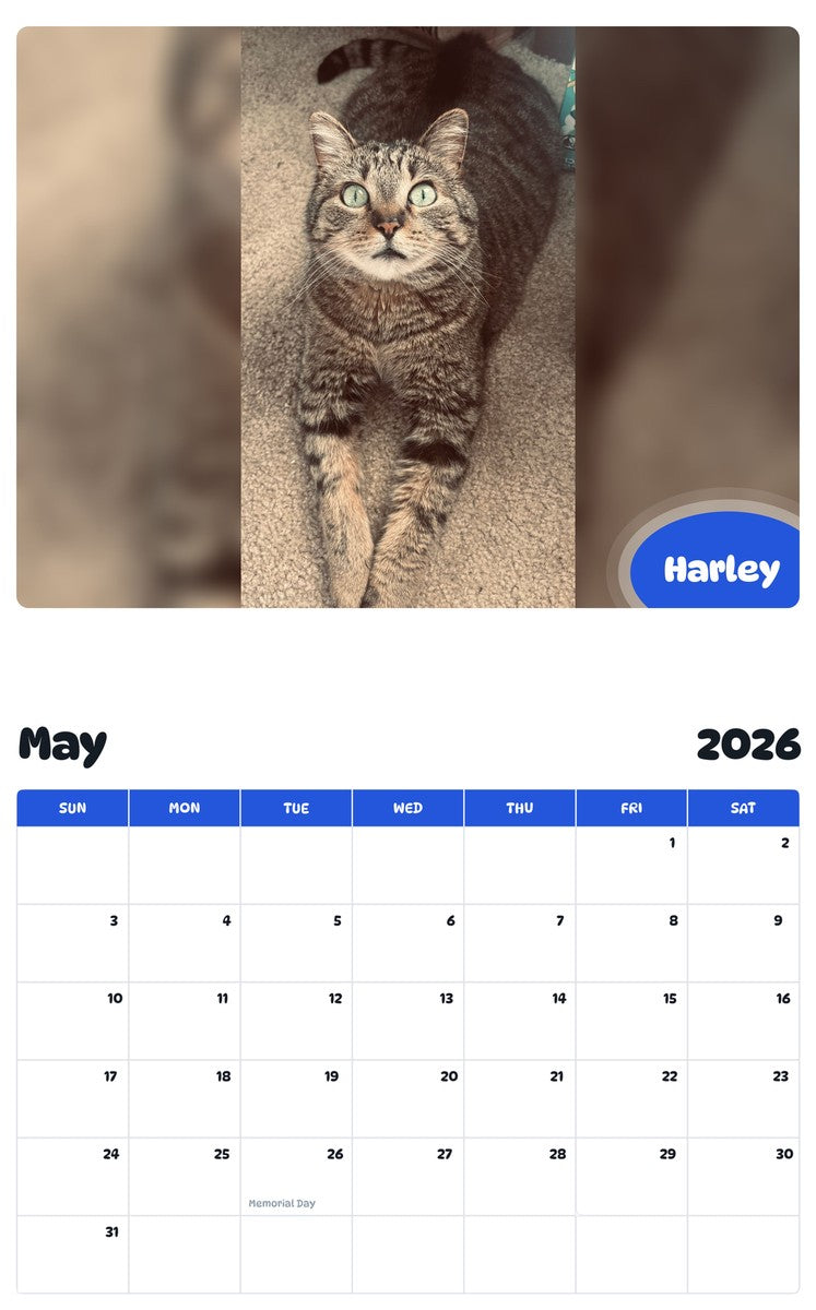 2026 - 2027 Harley - Pawidols Pet Calendar