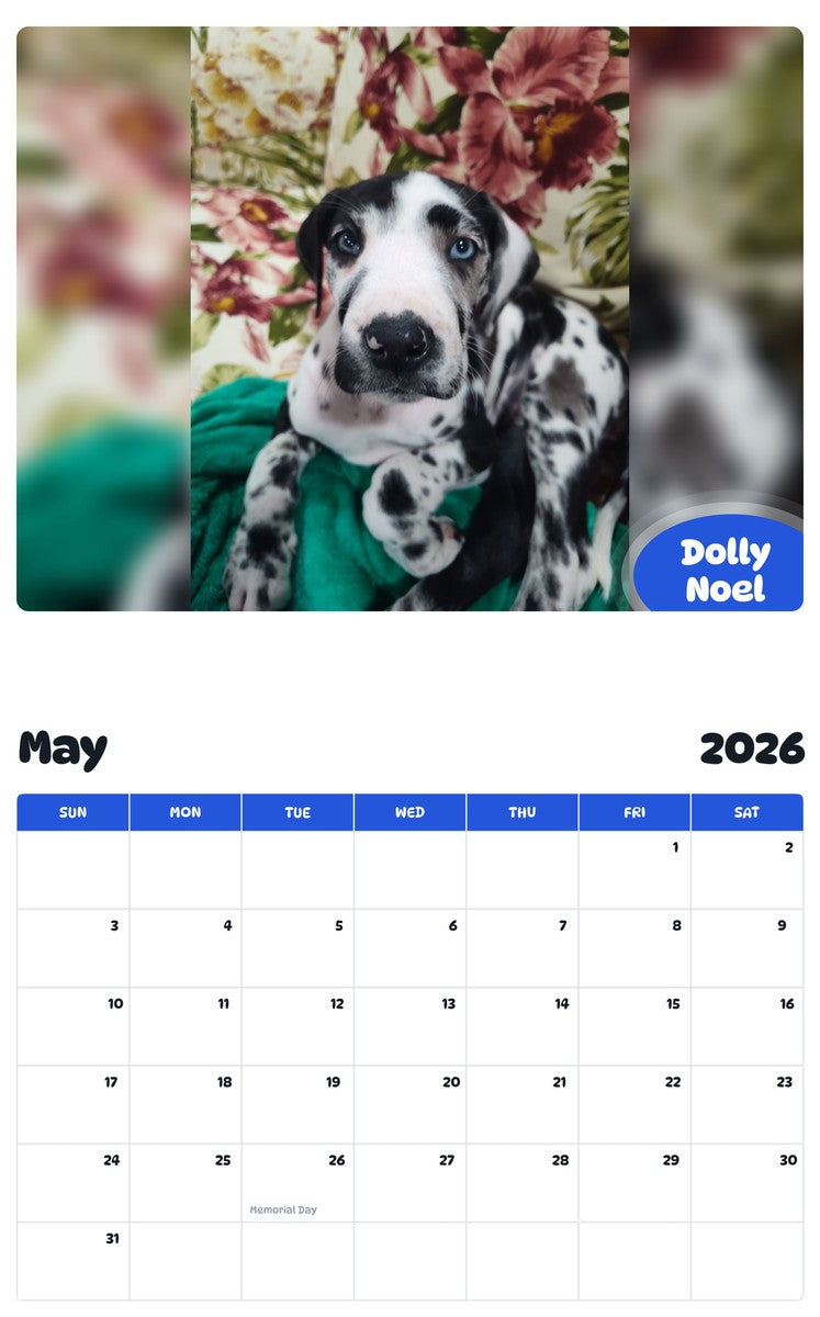 2026 - 2027 Dolly Noel - Pawidols Pet Calendar