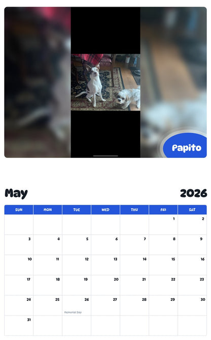 2026 - 2027 Papito - Pawidols Pet Calendar
