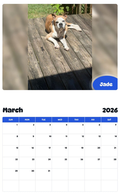 November 2025 - October 2026 Jade - Pawidols Pet Calendar
