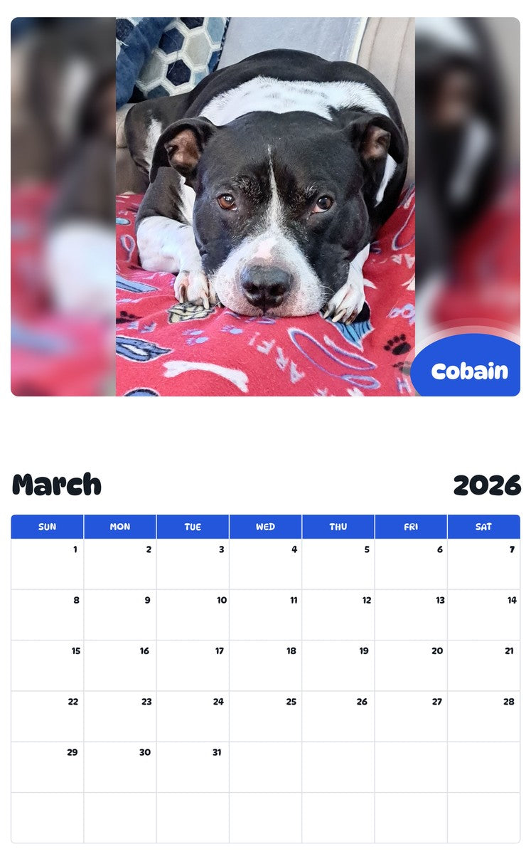November 2025 - October 2026 Cobain - Pawidols Pet Calendar