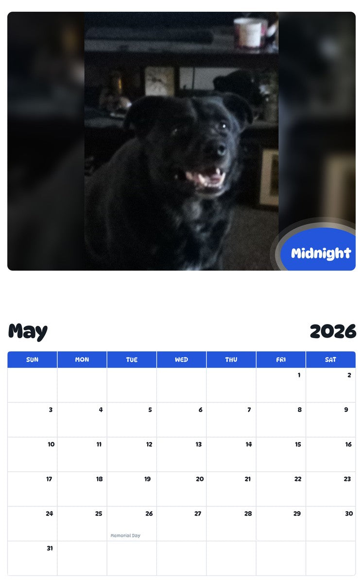 2026 - 2027 Midnight - Pawidols Pet Calendar