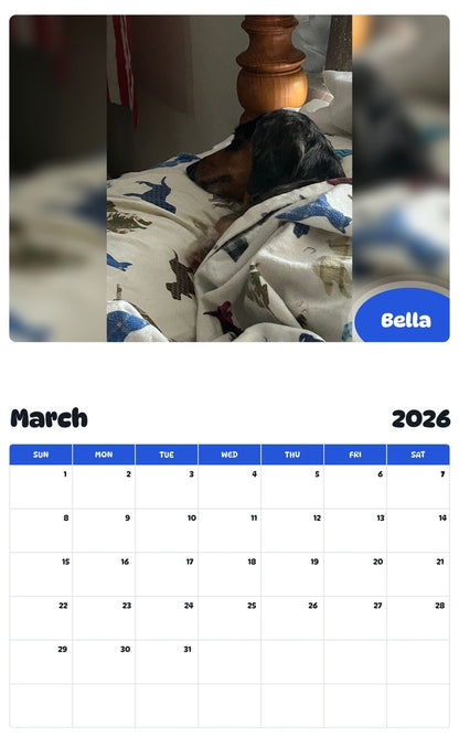 November 2025 - October 2026 Bella - Pawidols Pet Calendar