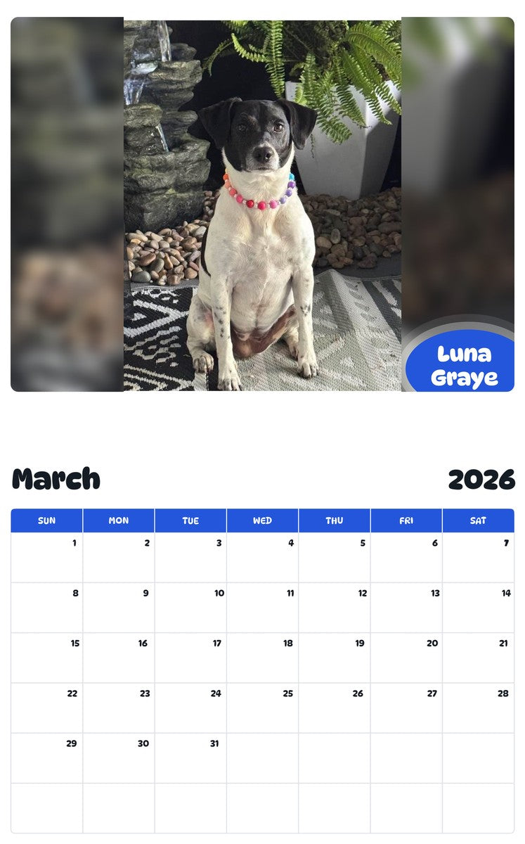 November 2025 - October 2026 Luna Graye - Pawidols Pet Calendar