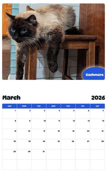 November 2025 - October 2026 Cashmere - Pawidols Pet Calendar