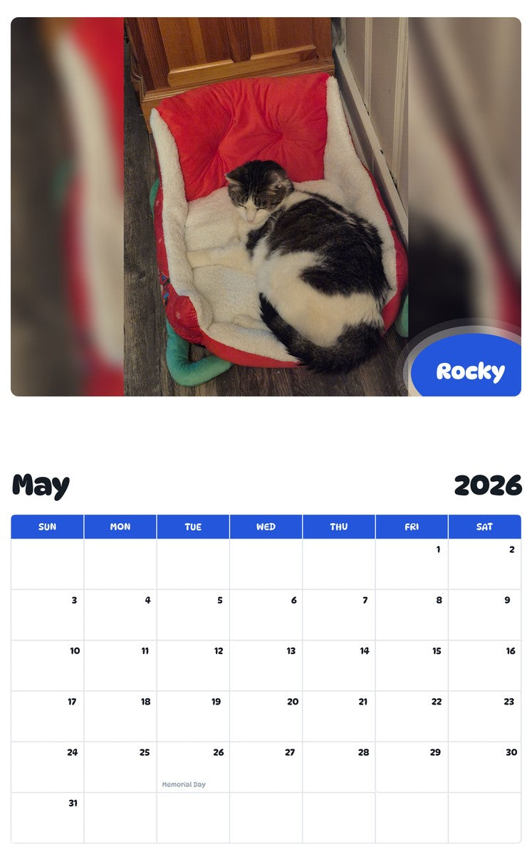 2026 - 2027 Rocky - Pawidols Pet Calendar