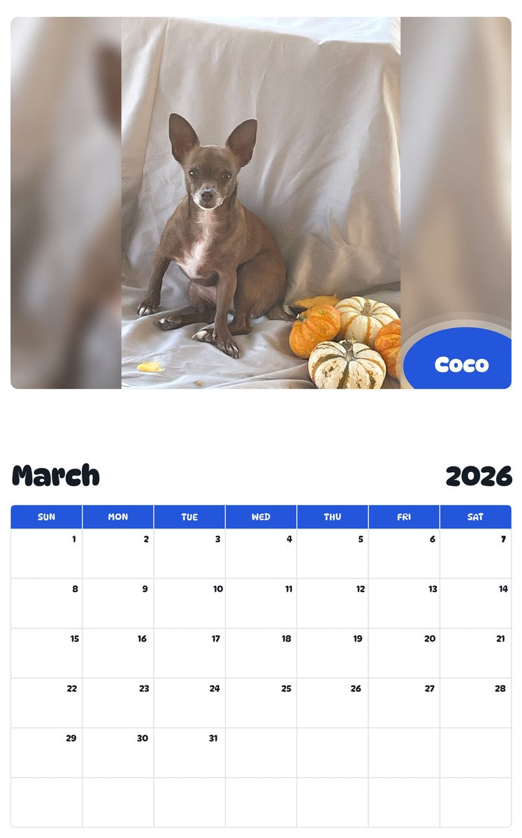 November 2025 - October 2026 Coco - Pawidols Pet Calendar