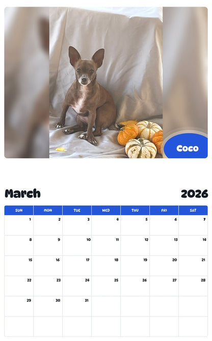 November 2025 - October 2026 Coco - Pawidols Pet Calendar