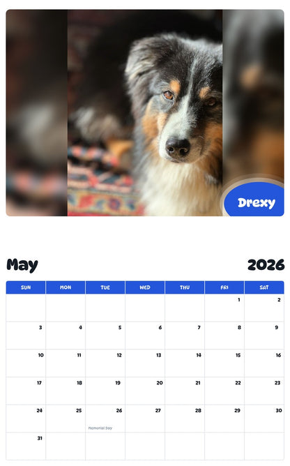 2026 - 2027 Drexy - Pawidols Pet Calendar