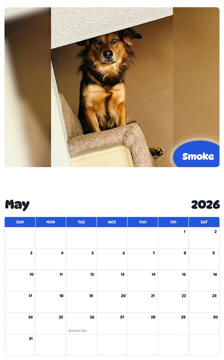 2026 - 2027 Smoke - Pawidols Pet Calendar