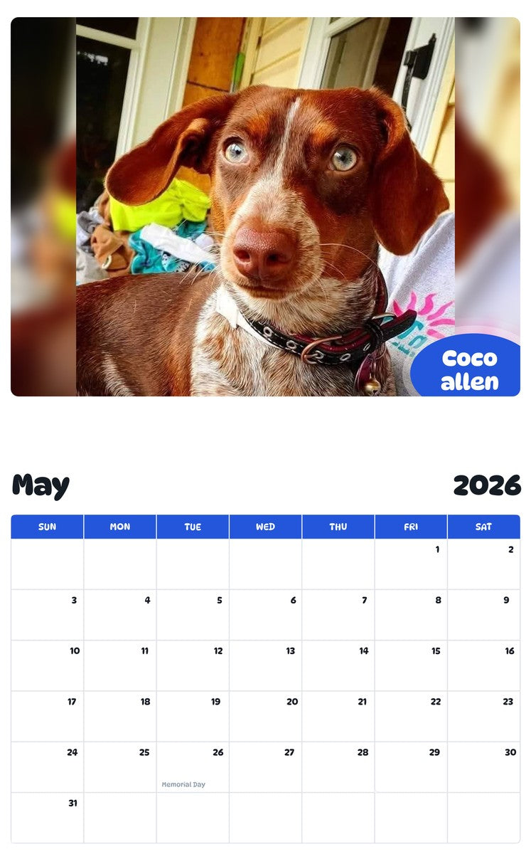 2026 - 2027 Coco allen - Pawidols Pet Calendar