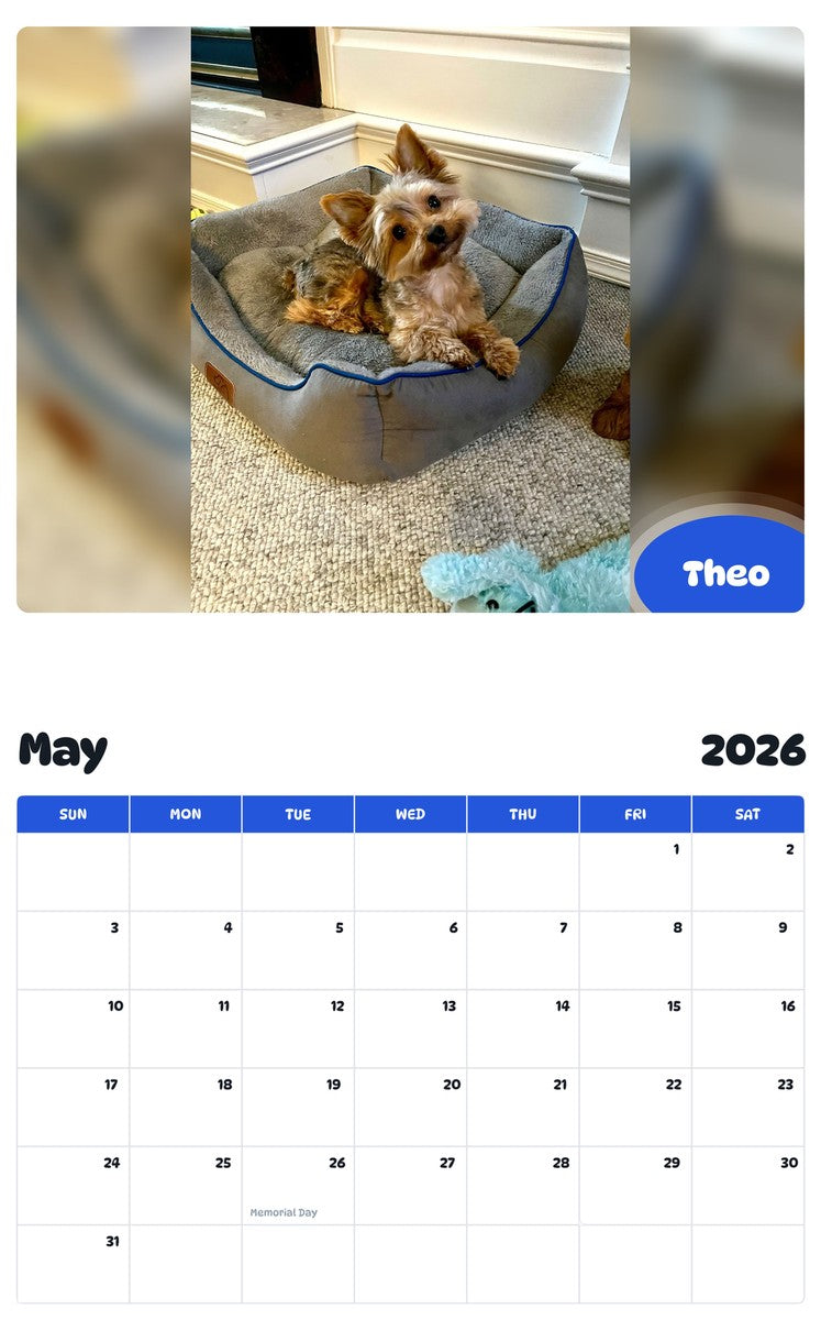2026 - 2027 Theo - Pawidols Pet Calendar