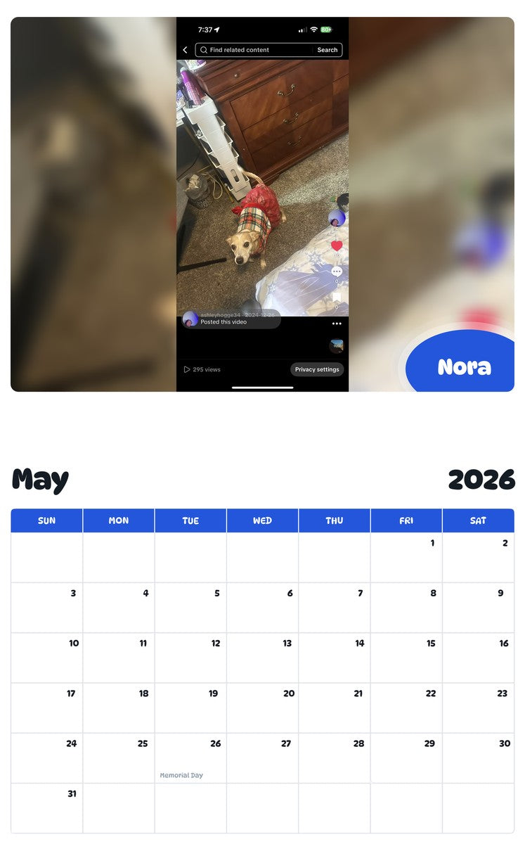 2026 - 2027 Nora - Pawidols Pet Calendar