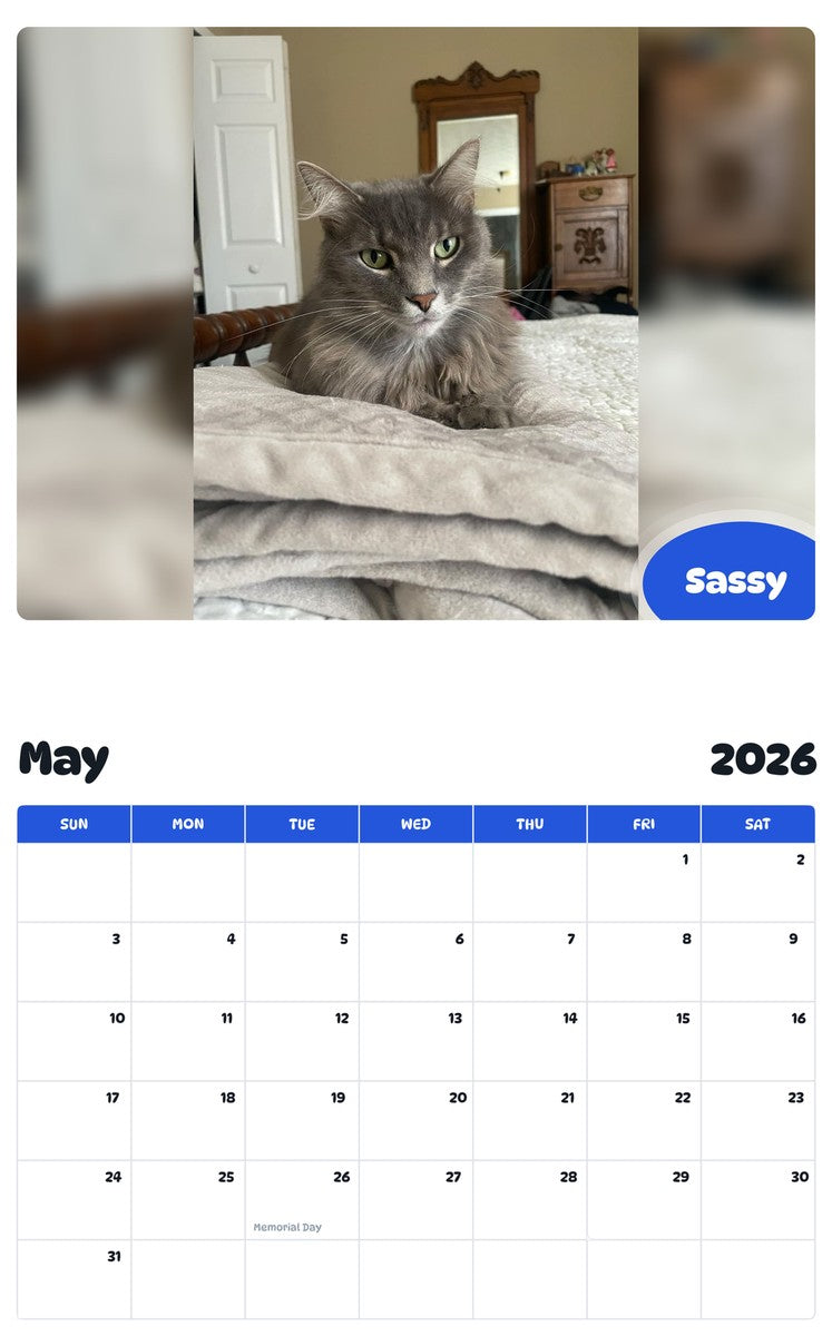 2026 - 2027 Sassy - Pawidols Pet Calendar