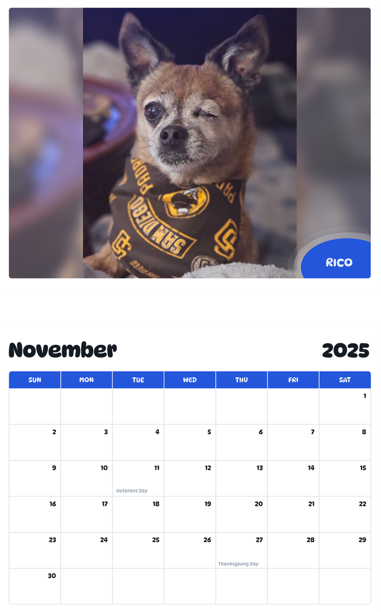 July 2025 - June 2026 RICO - Pawidols Pet Calendar