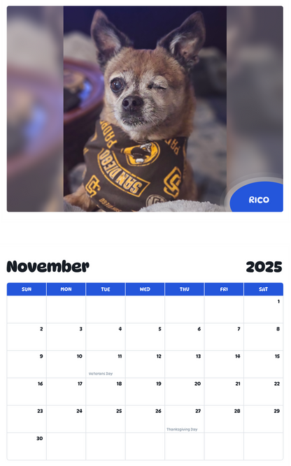 July 2025 - June 2026 RICO - Pawidols Pet Calendar