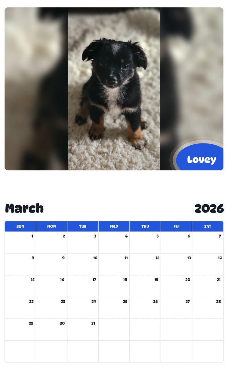November 2025 - October 2026 Lovey - Pawidols Pet Calendar