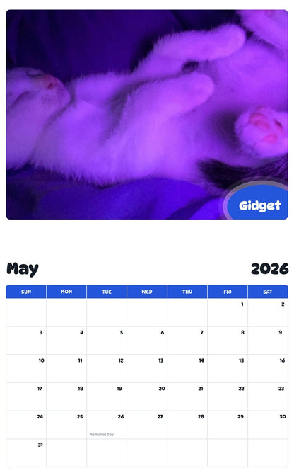 2026 - 2027 Gidget - Pawidols Pet Calendar