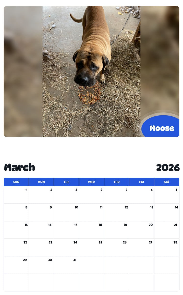 November 2025 - October 2026 Moose - Pawidols Pet Calendar