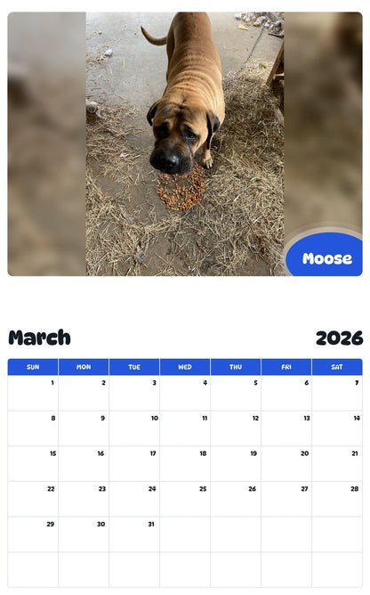 November 2025 - October 2026 Moose - Pawidols Pet Calendar