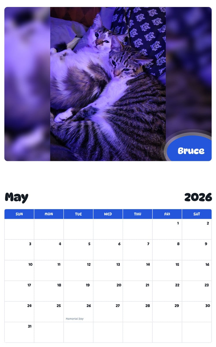 2026 - 2027 Bruce - Pawidols Pet Calendar