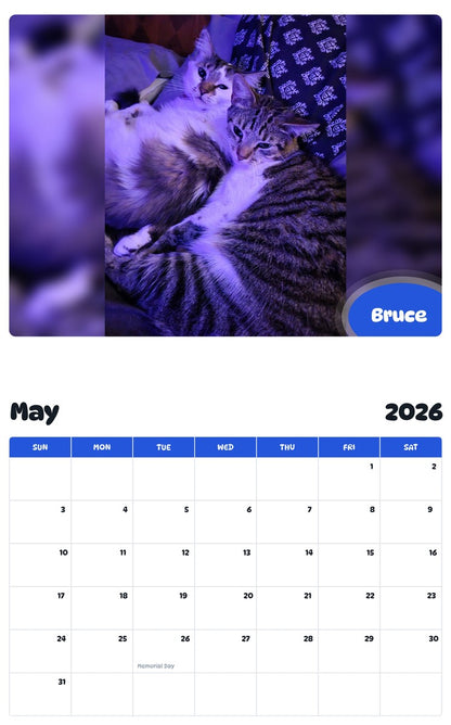 2026 - 2027 Bruce - Pawidols Pet Calendar
