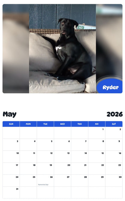 2026 - 2027 Ryder - Pawidols Pet Calendar