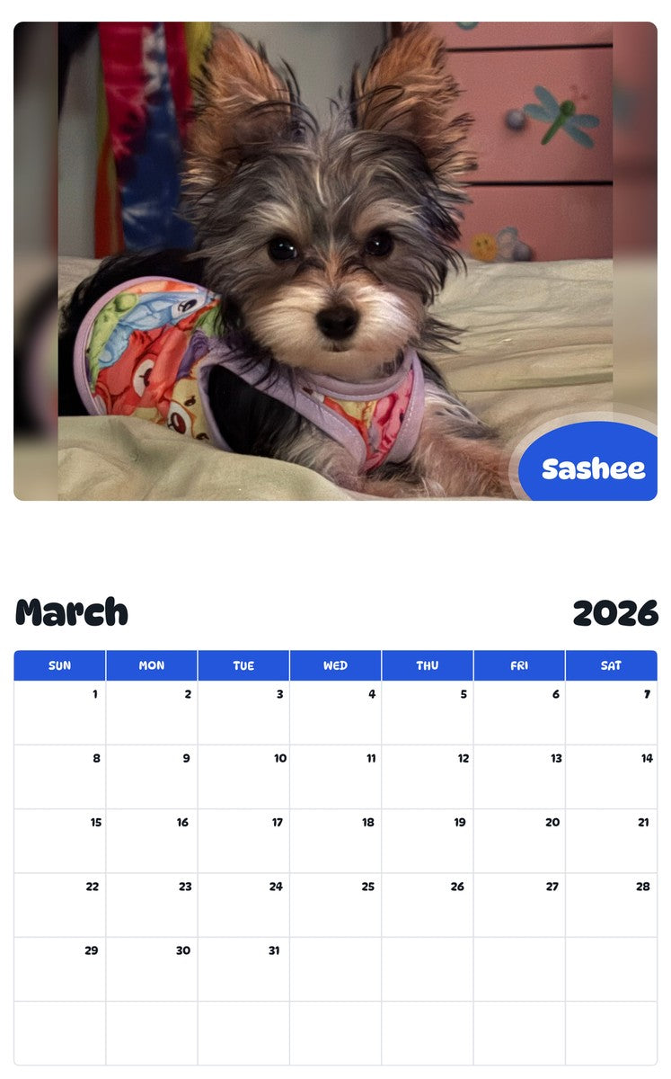 November 2025 - October 2026 Sashee - Pawidols Pet Calendar