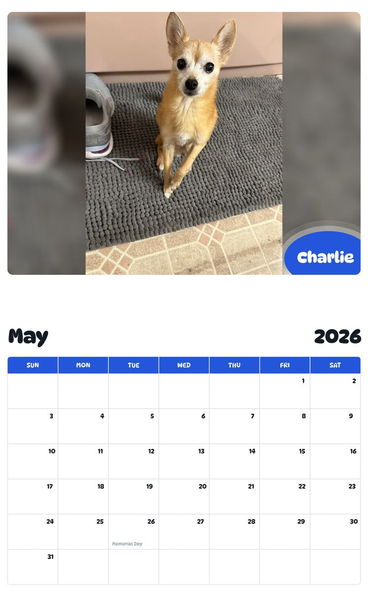 2026 - 2027 Charlie - Pawidols Pet Calendar