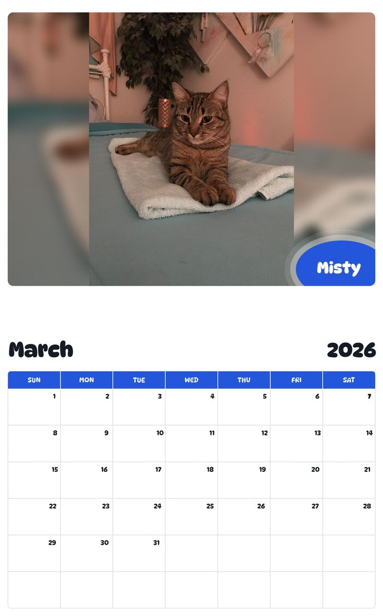 November 2025 - October 2026 Misty - Pawidols Pet Calendar