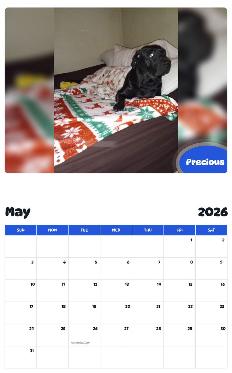 2026 - 2027 Precious - Pawidols Pet Calendar