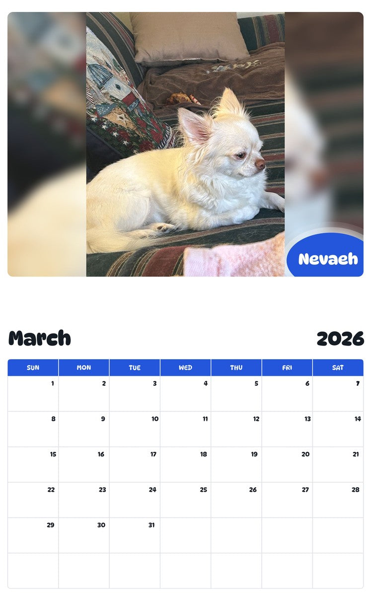 November 2025 - October 2026 Nevaeh - Pawidols Pet Calendar