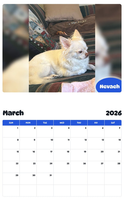 November 2025 - October 2026 Nevaeh - Pawidols Pet Calendar