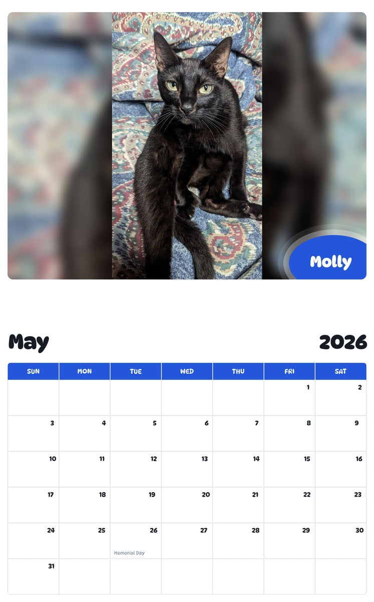 2026 - 2027 Molly - Pawidols Pet Calendar