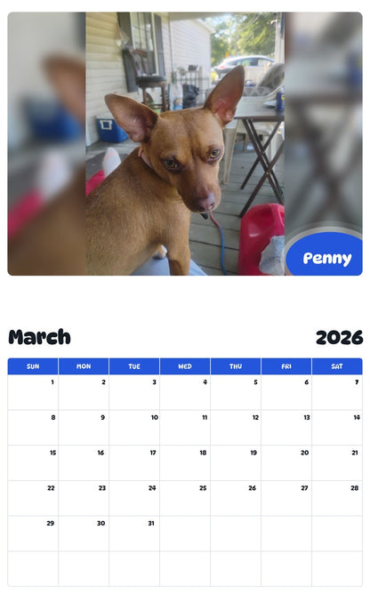 November 2025 - October 2026 Penny - Pawidols Pet Calendar