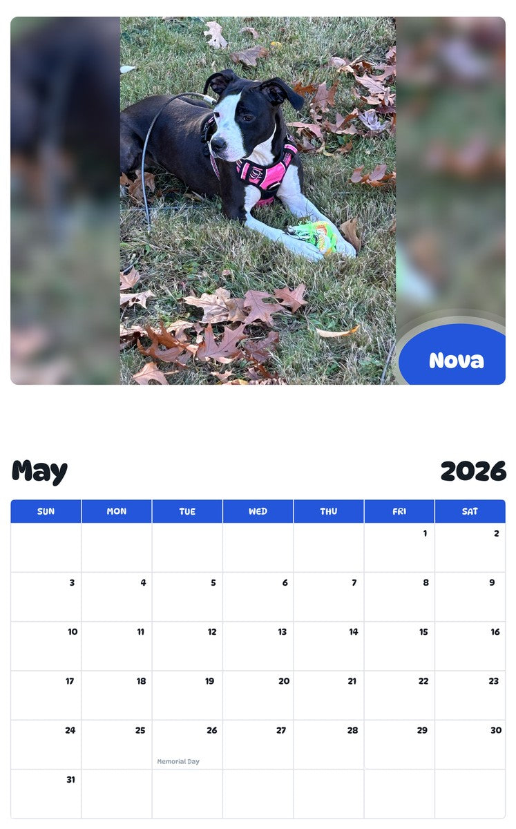 2026 - 2027 Nova - Pawidols Pet Calendar