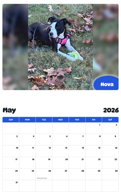 2026 - 2027 Nova - Pawidols Pet Calendar