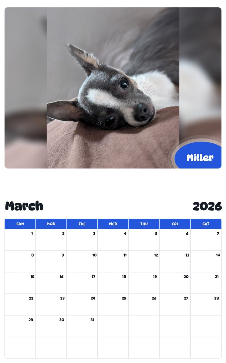 November 2025 - October 2026 Miller - Pawidols Pet Calendar