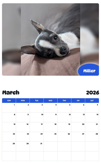 November 2025 - October 2026 Miller - Pawidols Pet Calendar