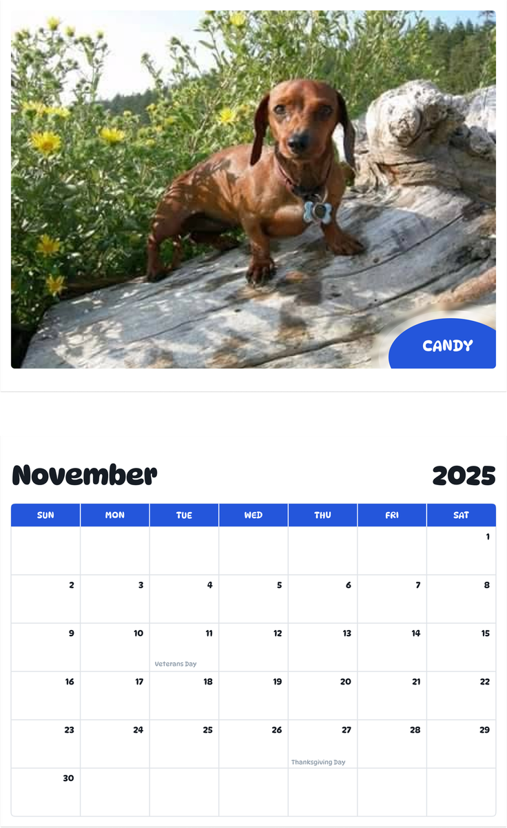 July 2025 - June 2026 Candy - Pawidols Pet Calendar