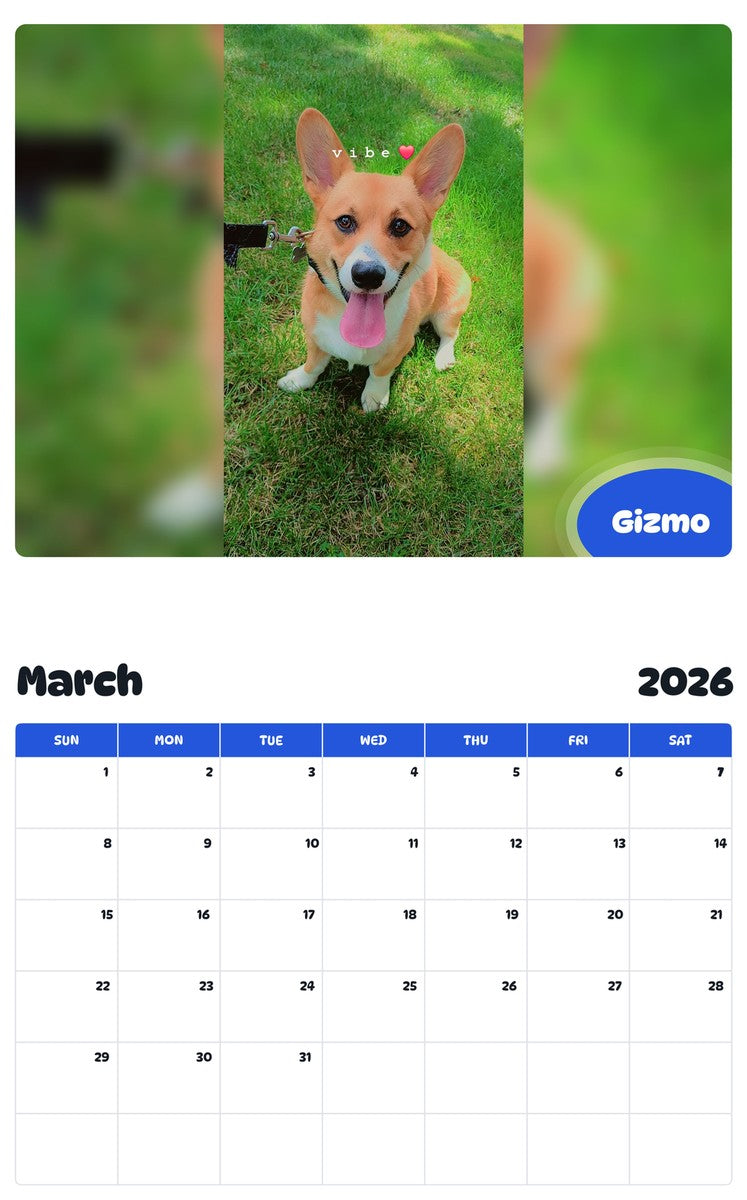 November 2025 - October 2026 Gizmo - Pawidols Pet Calendar