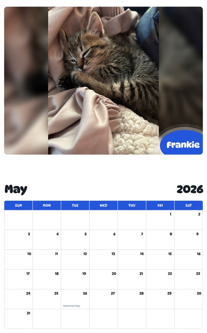 2026 - 2027 Frankie - Pawidols Pet Calendar